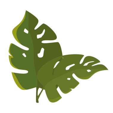 tropikal yaz dekoratif yaprakları