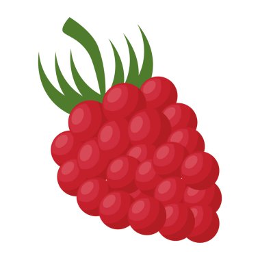 BlackBerry taze ve sağlıklı meyve