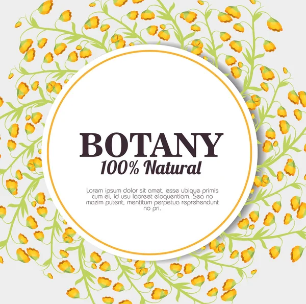 Ботаника 100% натуральная — стоковый вектор