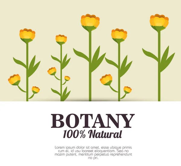 Ботаника 100% натуральная — стоковый вектор