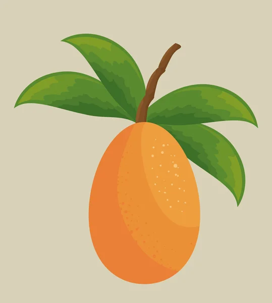 Mango fruta tropical icono — Vector de stock