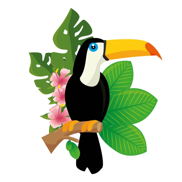 Ikona tropický pták Tukan — Stockový vektor