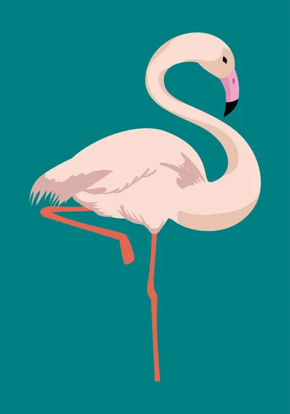 Flamingo tropik kuş simgesi — Stok Vektör