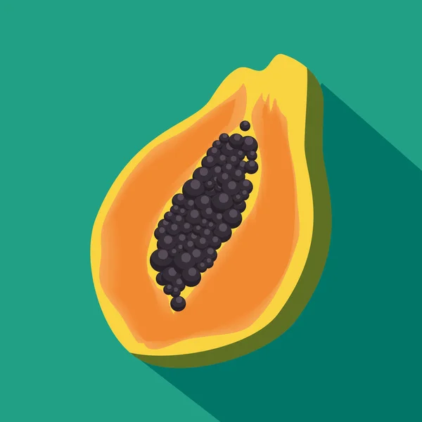 Icône de fruits tropicaux papaye — Image vectorielle