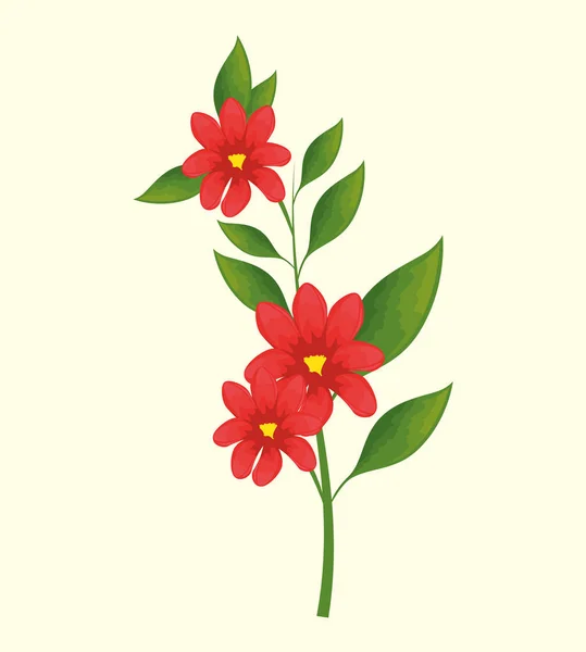 Tropické léto květy dekorativní — Stockový vektor