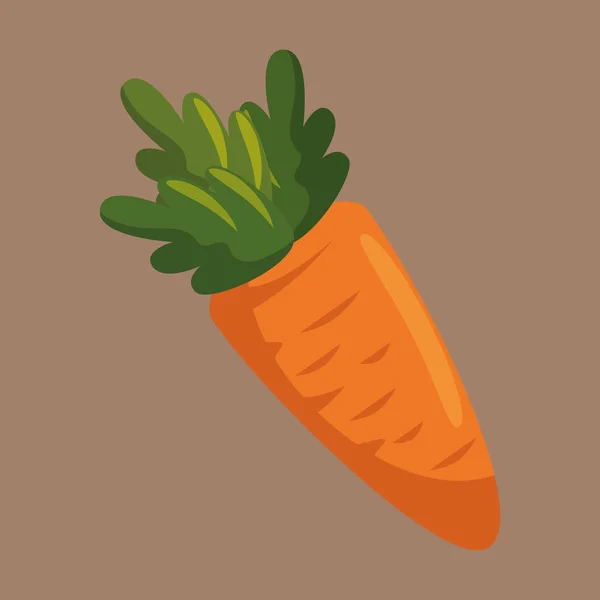 Zanahoria vegetal fresca y saludable — Archivo Imágenes Vectoriales