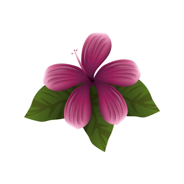 かわいい花植物のアイコン — ストックベクタ