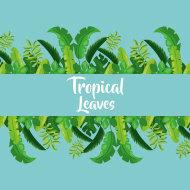 tropikal yapraklar dekorasyon