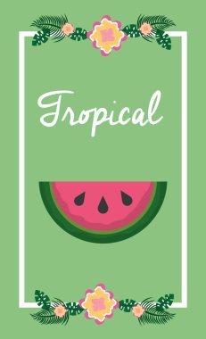 tropikal meyve çiçek