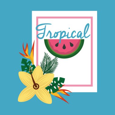 tropikal meyve çiçek