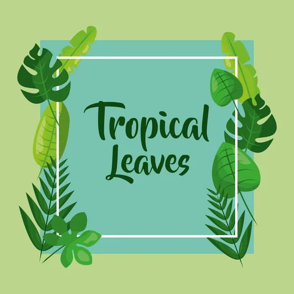 Folhas tropicais decoração — Vetor de Stock