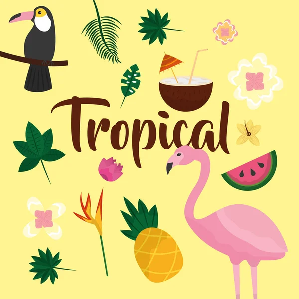 Flor de frutas tropicales — Vector de stock