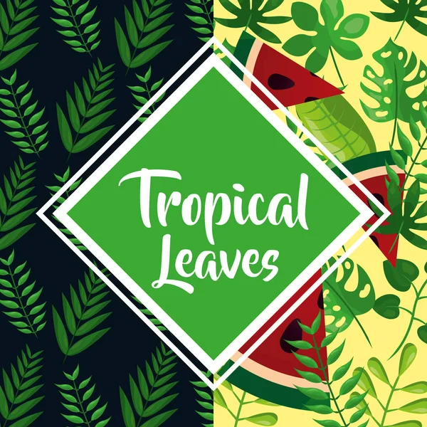 Folhas tropicais decoração —  Vetores de Stock