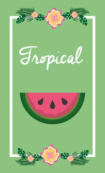 Flor de fruta tropical — Vetor de Stock