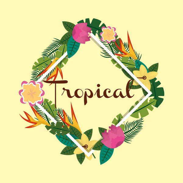 Tropische Fruchtblume — Stockvektor