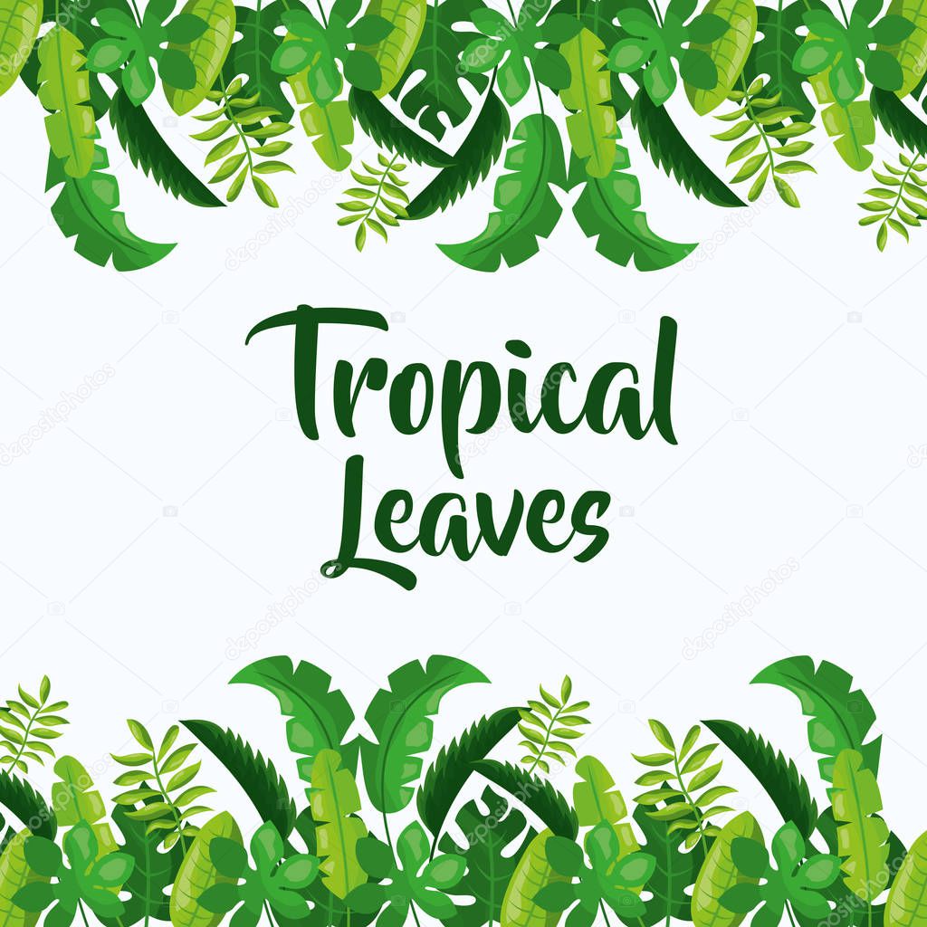 tropical leaves decoration