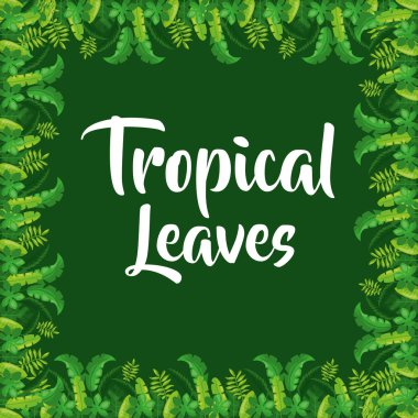 tropikal yapraklar dekorasyon