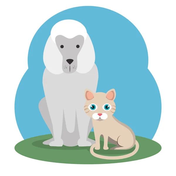 Mascotas lindas tienda de mascotas iconos — Archivo Imágenes Vectoriales