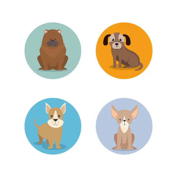 Groep van dog breeds — Stockvector