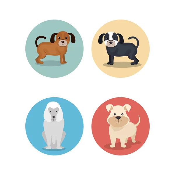 Groep van dog breeds — Stockvector