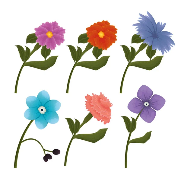Çiçekler güzel Icons set — Stok Vektör
