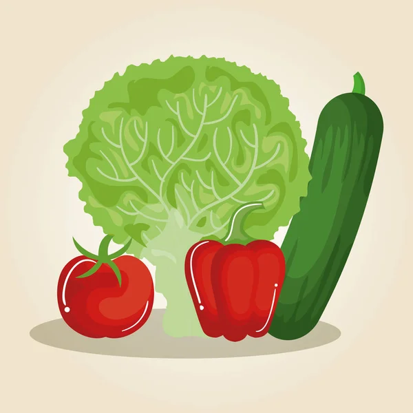 Healthy food vegan icons — Stock Vector