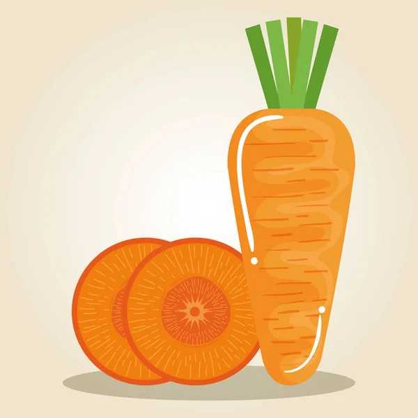 Cenoura vegetal fresco e saudável — Vetor de Stock
