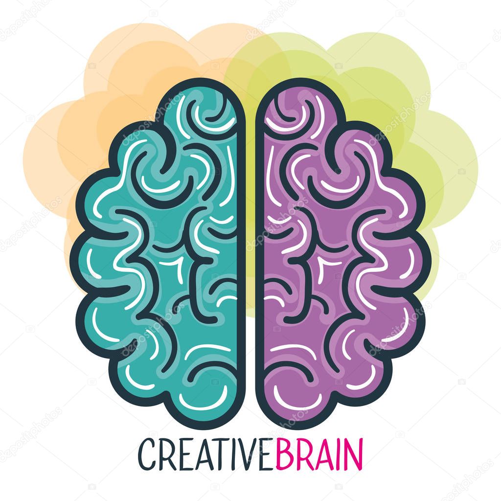 creative profile and brain