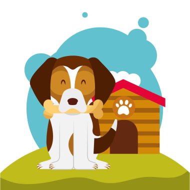 köpek hayvan aile içi