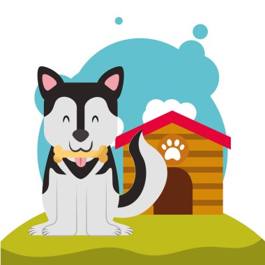 köpek hayvan aile içi