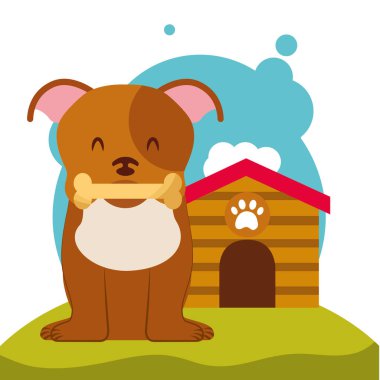 köpek hayvan aile içi