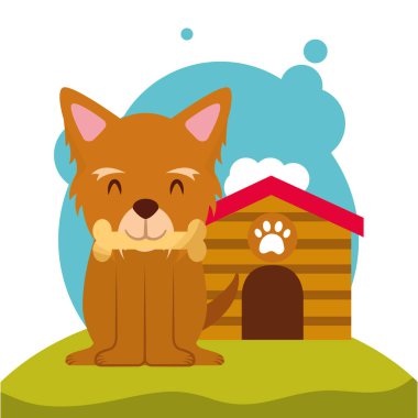 köpek hayvan aile içi