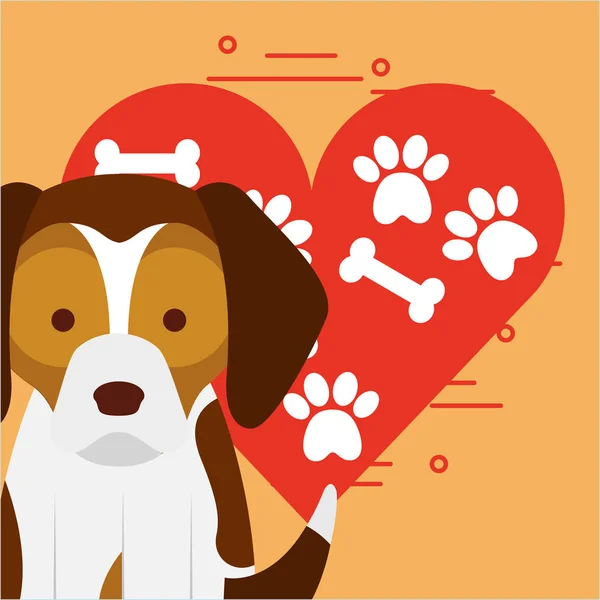 Amor perro mascota — Archivo Imágenes Vectoriales