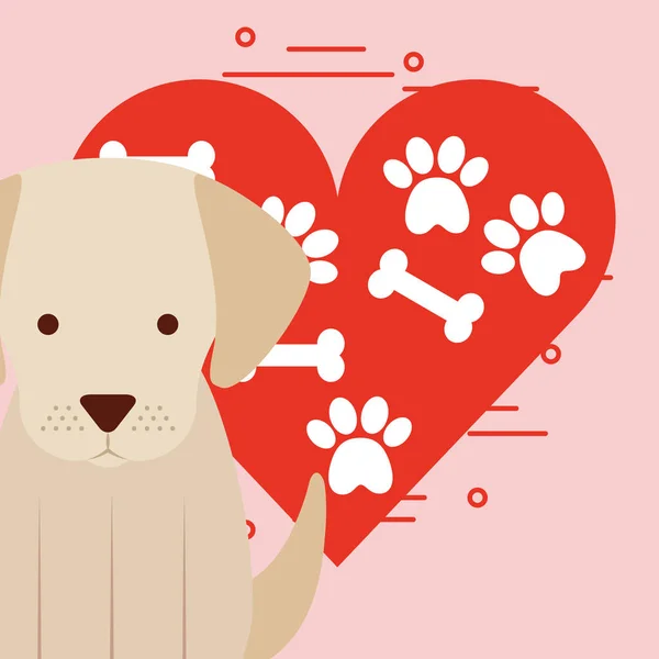 Love dog pet — Stock Vector