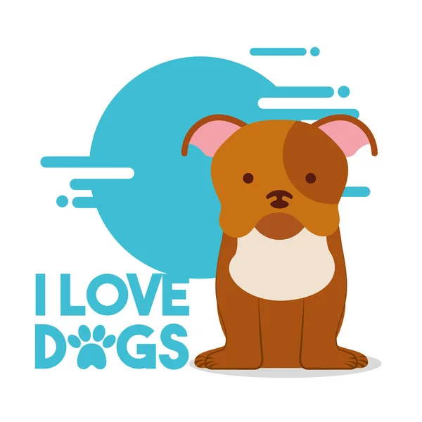 Älska hund husdjur — Stock vektor