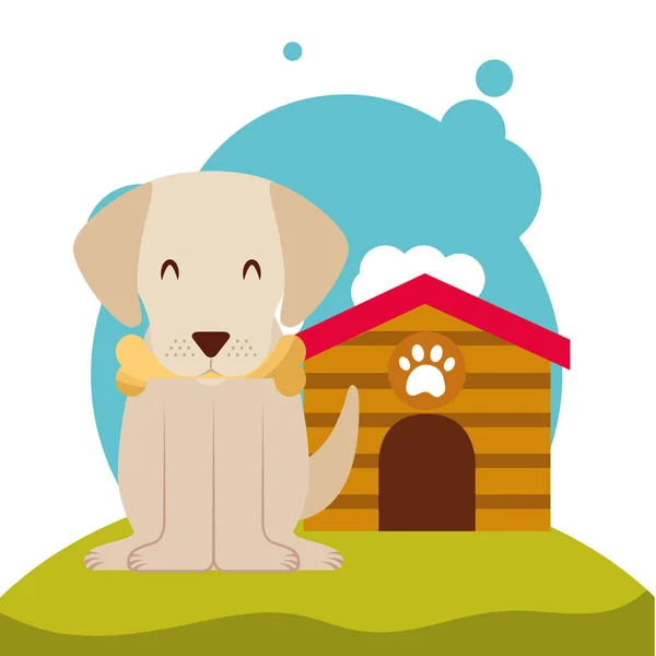 Perro animal doméstico — Vector de stock