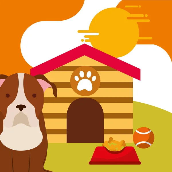 Perro animal doméstico — Vector de stock