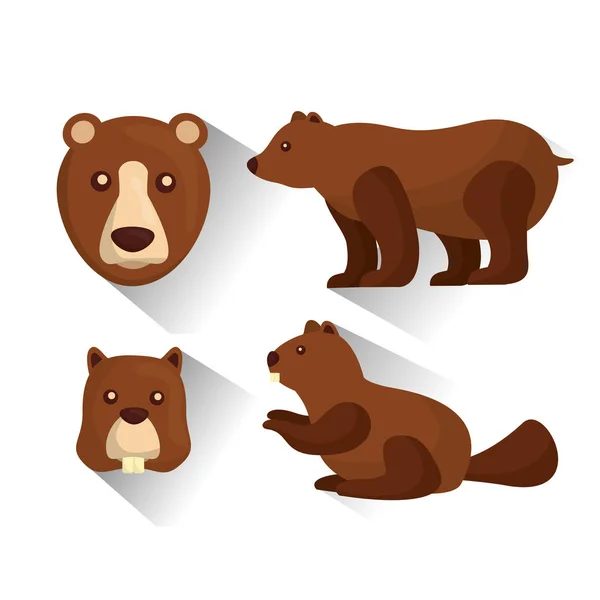 Orso grizzly e castoro animali selvatici — Vettoriale Stock