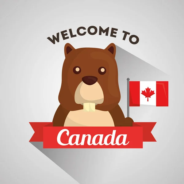 Kanada ország szimbólumok — Stock Vector