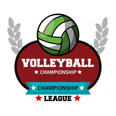 Voleybol spor top amblemi
