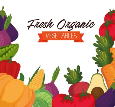 taze sebze organik ve sağlıklı gıda