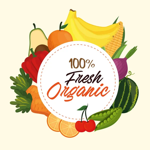 Fresh vegetables and fruits healthy food — Stock Vector