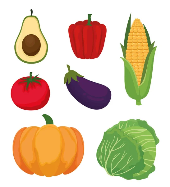 Čerstvá zelenina organická a zdravé potraviny — Stockový vektor