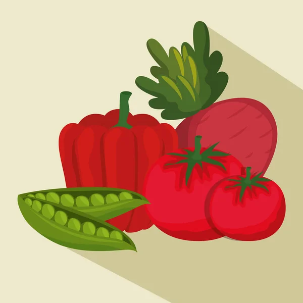 Légumes frais bio et aliments sains — Image vectorielle