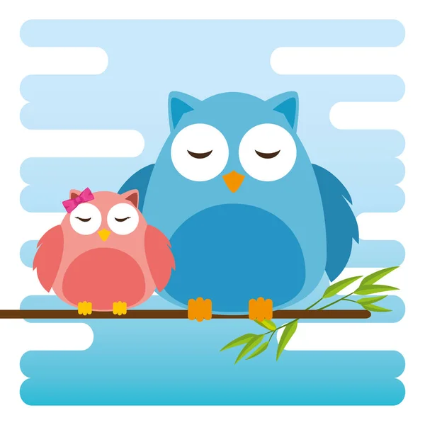 Cute owls father and son characters — Stock Vector