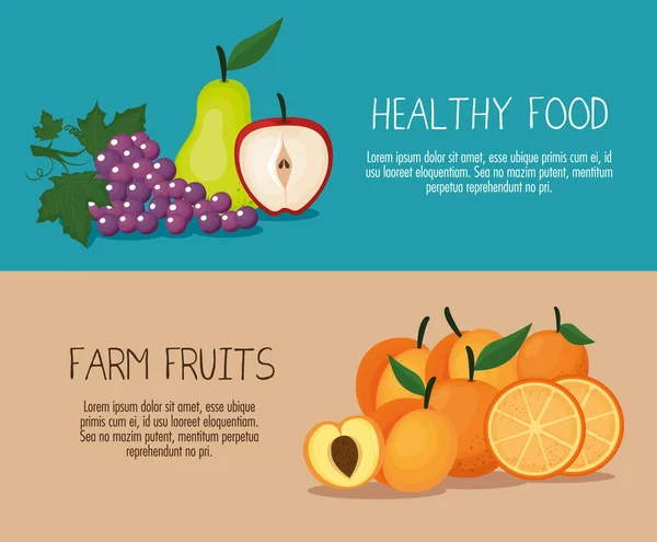 Fruits délicieux aliments sains — Image vectorielle