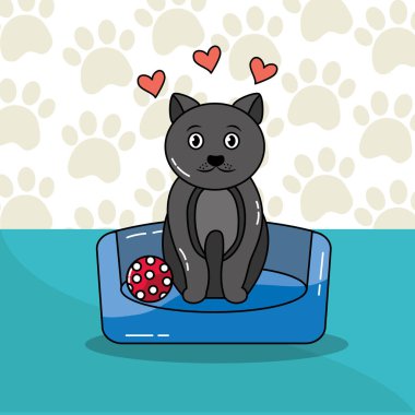 evcil hayvan köpek ve kedi