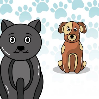 evcil hayvan köpek ve kedi