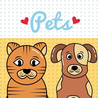 evcil kedi ve köpek