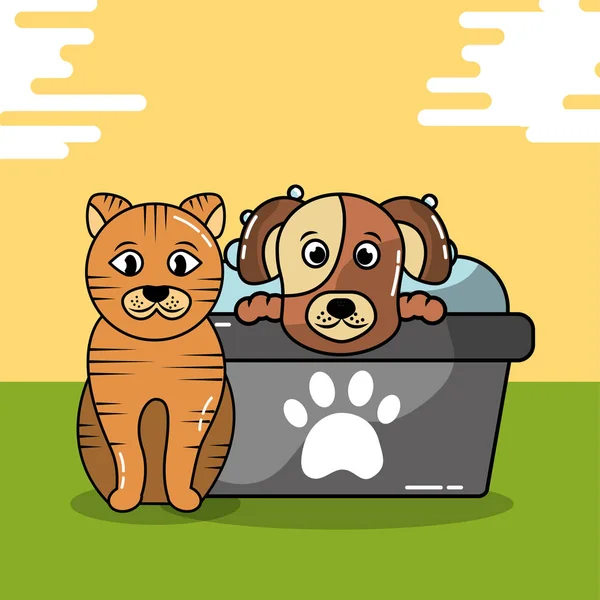 Pet cat and dog — Stock Vector